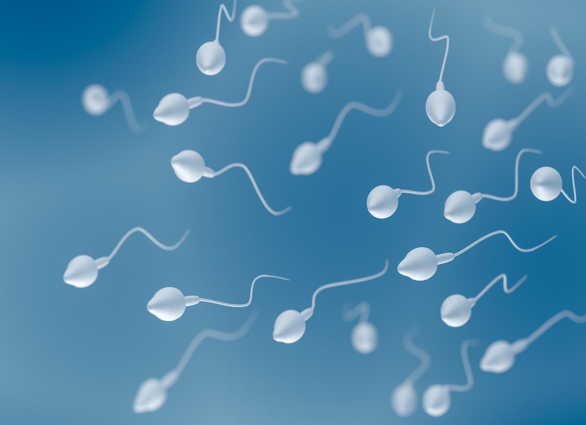 L’âge des spermatozoïdes pourrait influer sur la santé et l'espérance de vie du bébé