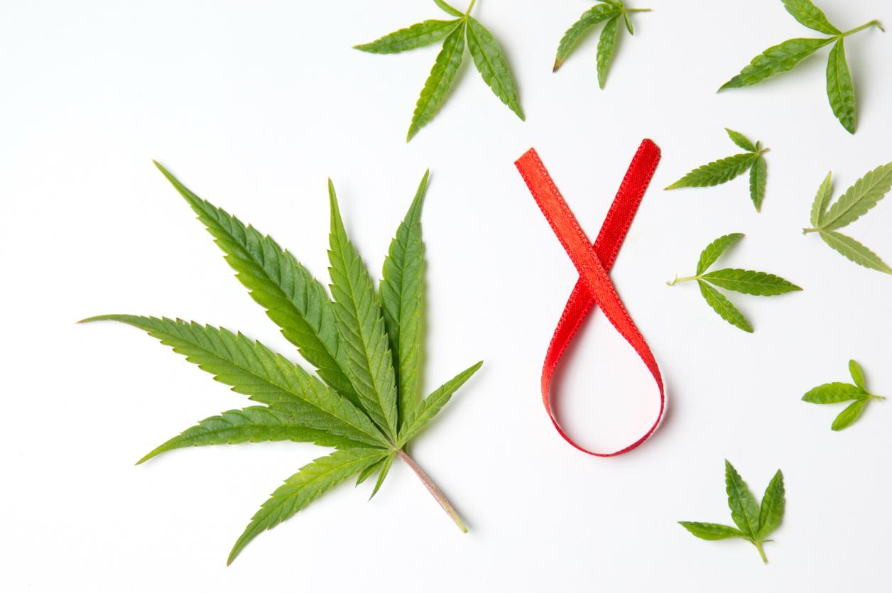 Le CBD, nouvelle arme inattendue contre le VIH ?