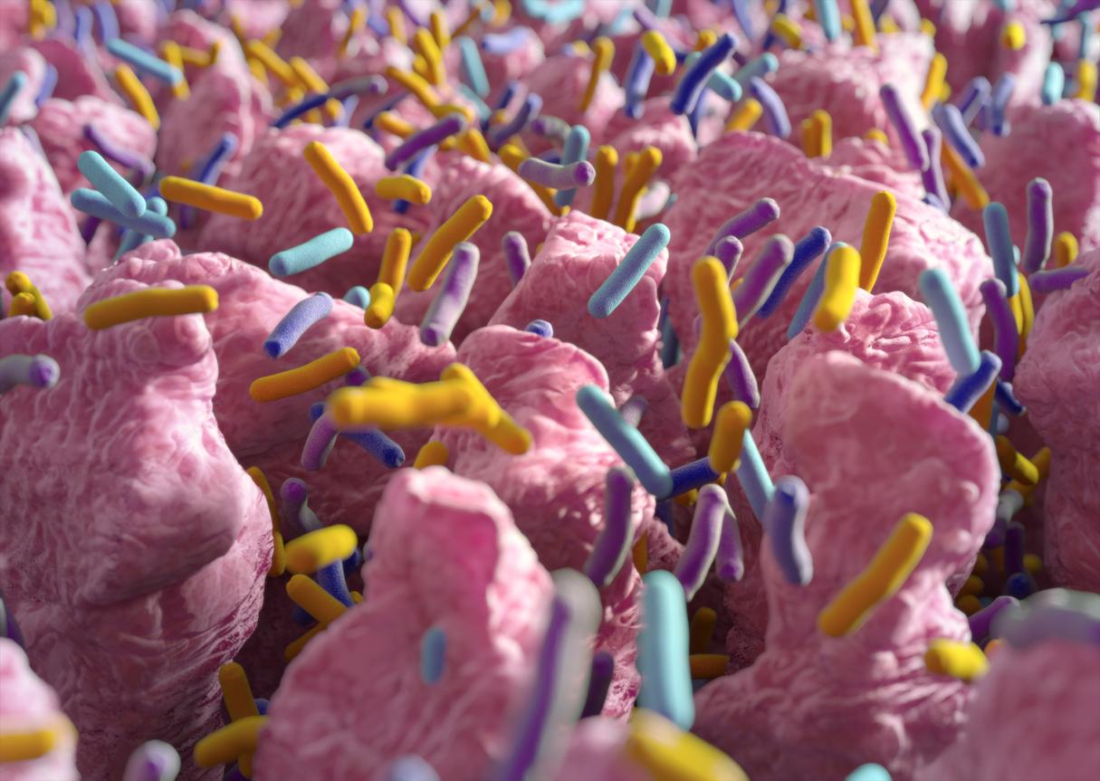 L’impact de votre vie sociale sur la qualité de votre microbiote 