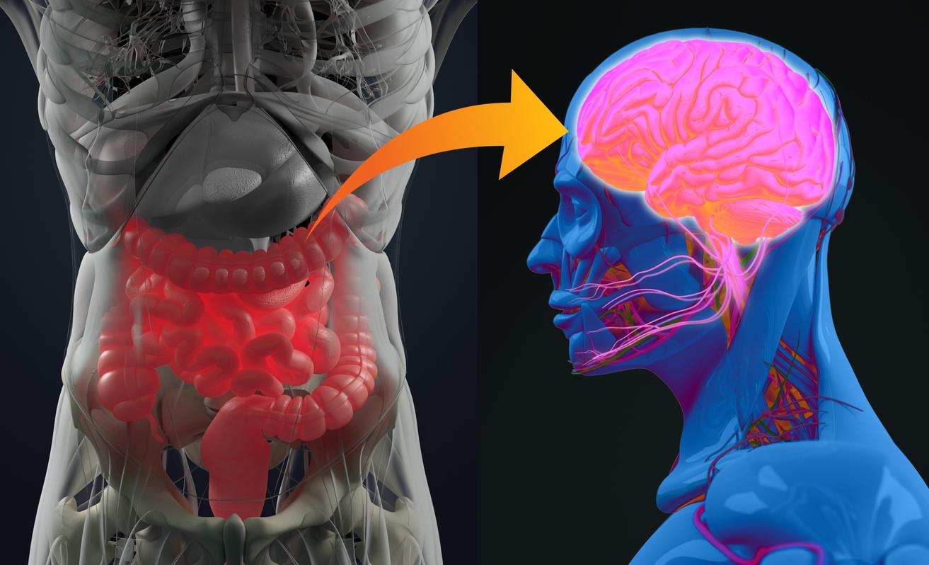 Dépression : et si c’était à cause du nerf vague relié au microbiote intestinal ?
