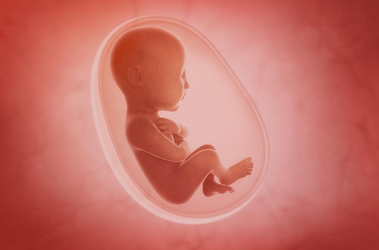 Dans le ventre, les bébés voient plus que vous ne le pensez 