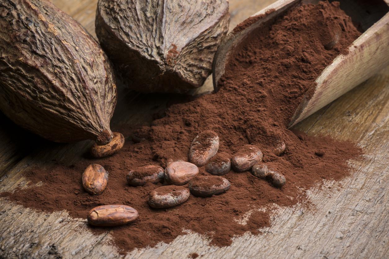 Le cacao peut aider à préserver les capacités cognitives