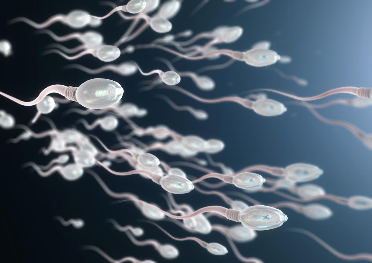 Infertilité masculine : le rôle du microbiome du sperme ?