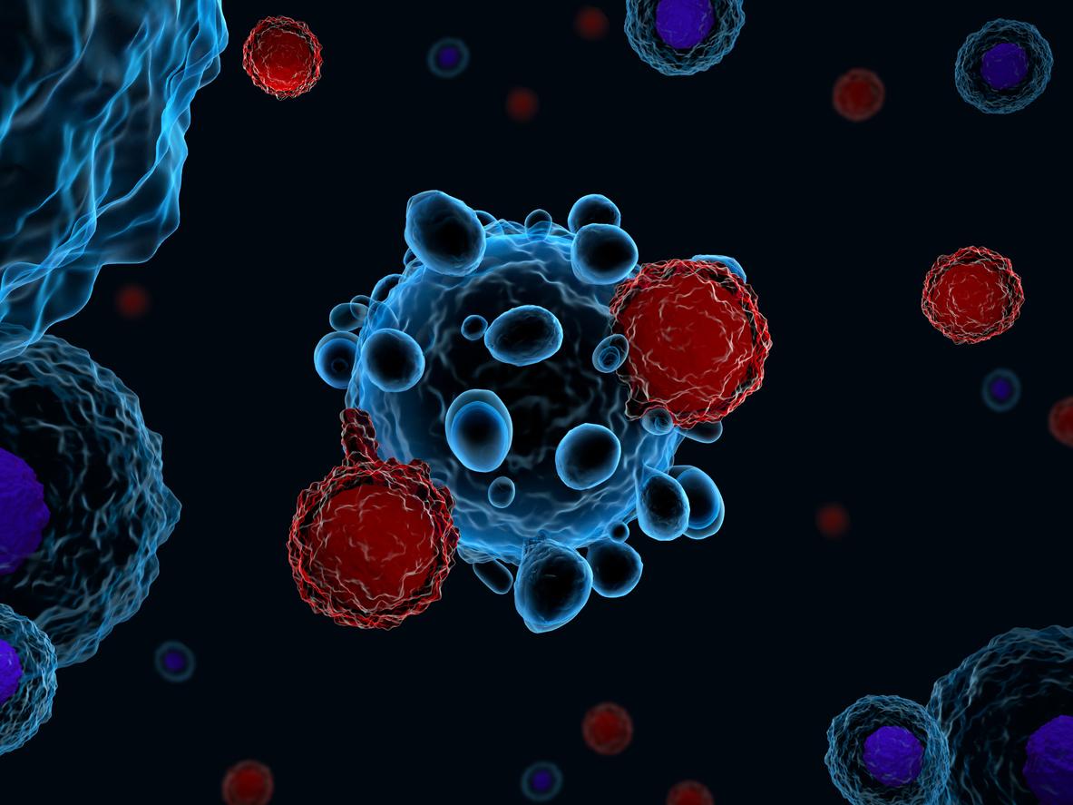 Cancer : l’activité des CAR-T cells suivie grâce à l’imagerie