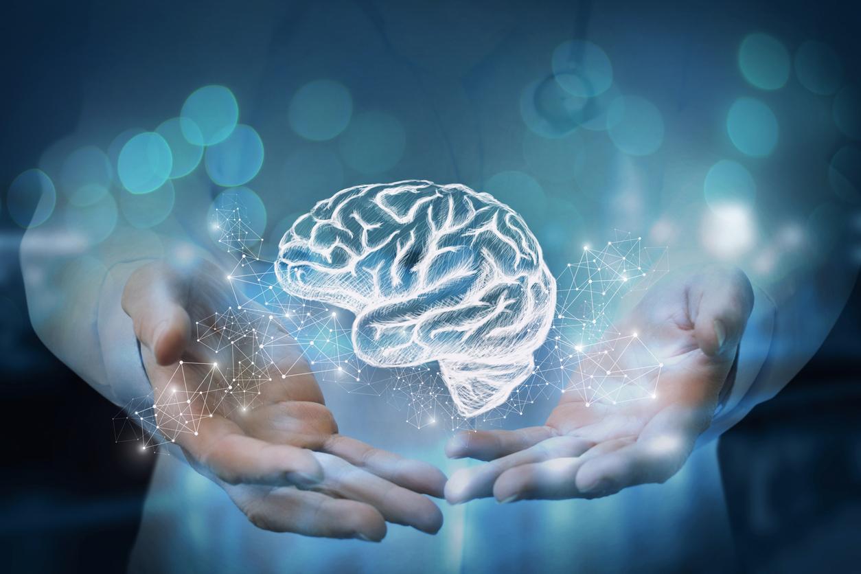 3 Conseils Essentiels Pour Prendre Soin De Son Cerveau