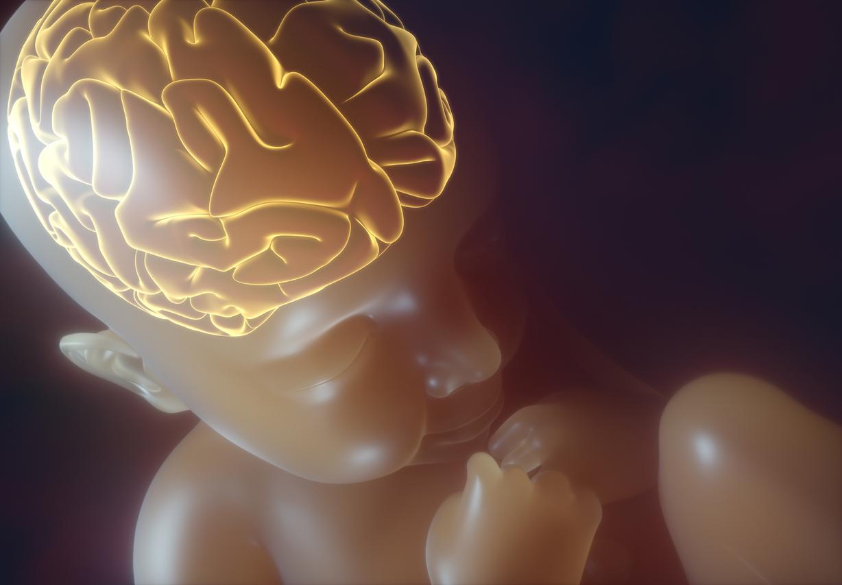 Bébé : de minuscules microbes influencent le développement du cerveau