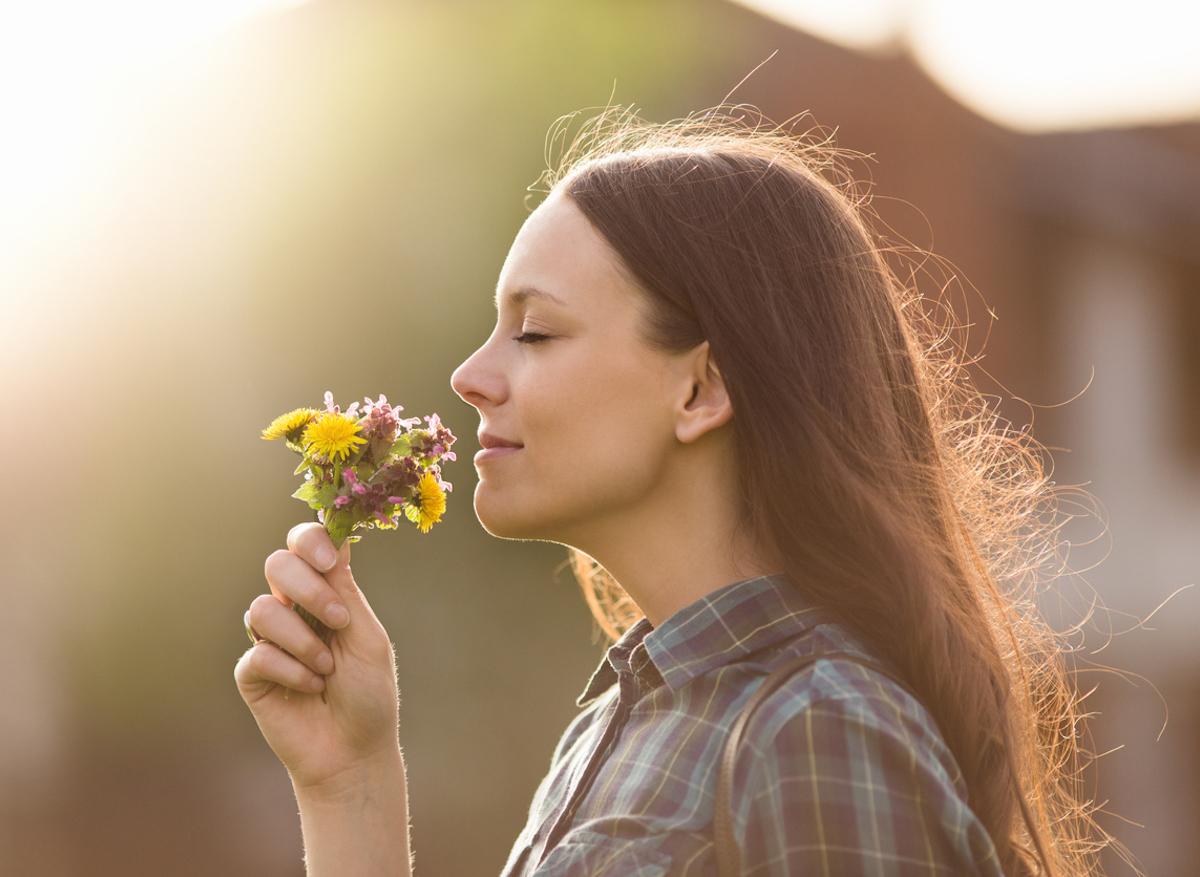 Comment les odeurs et parfums sont traités par notre cerveau
