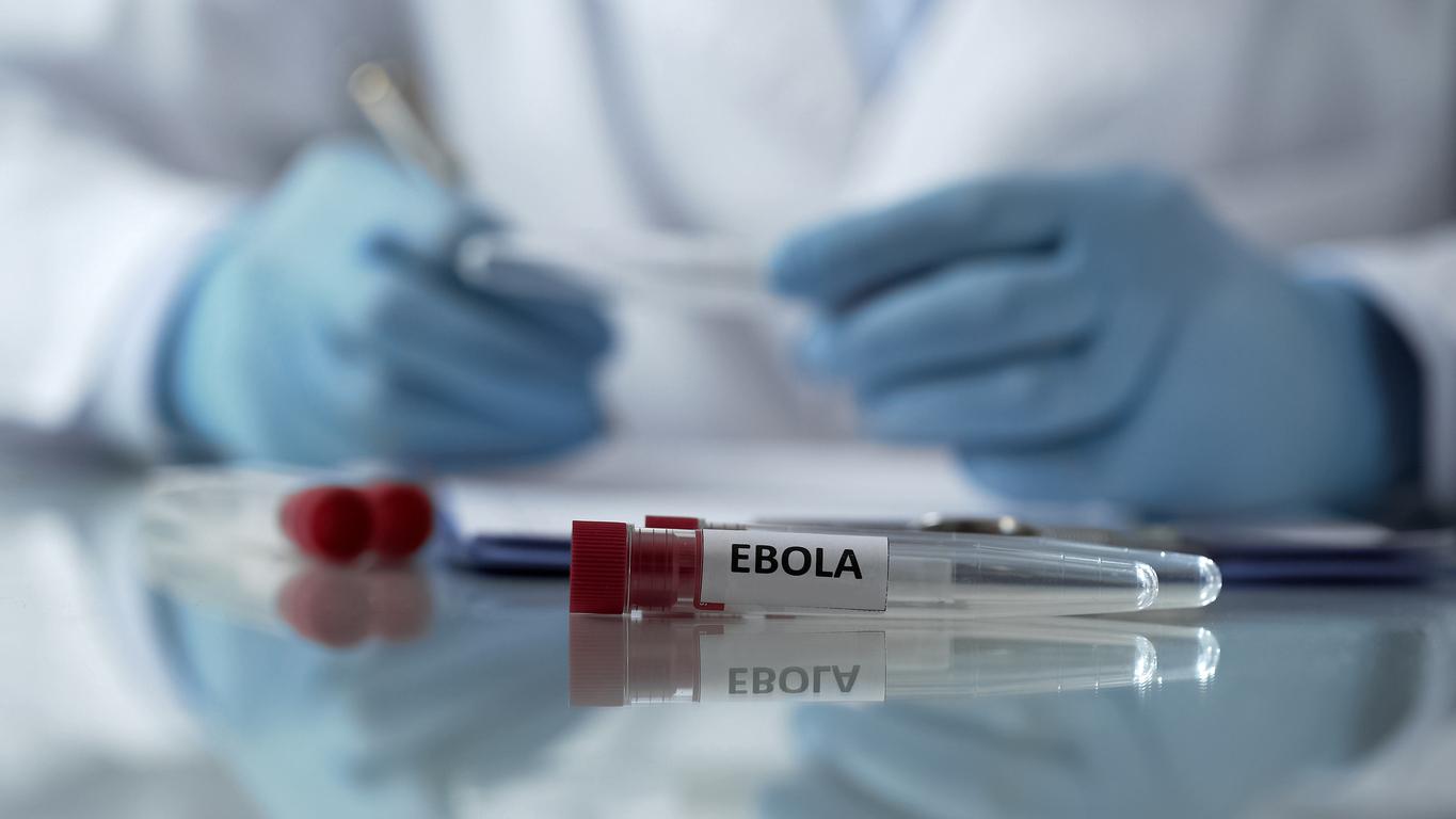 Ebola en RCD :  \