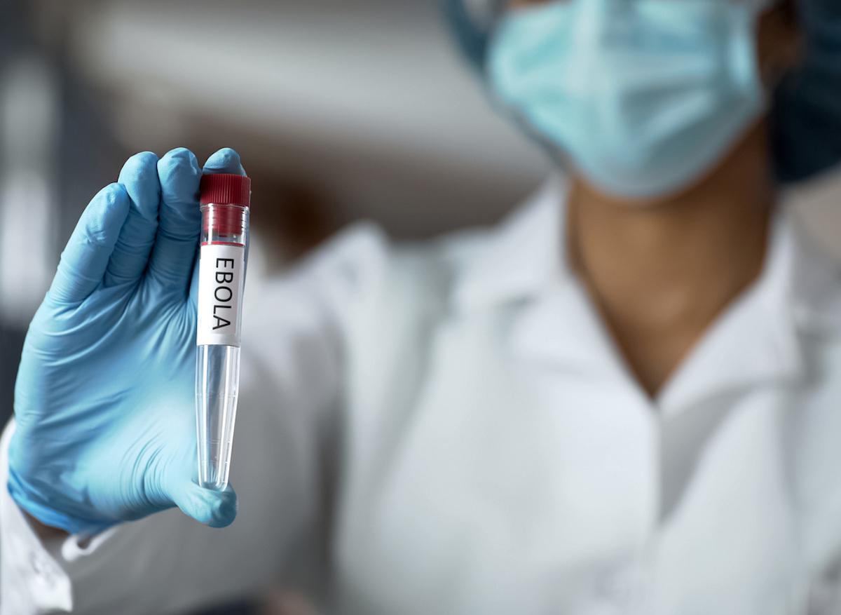 Ebola : l'anticorps d'un survivant pourrait permettre de créer un vaccin universel