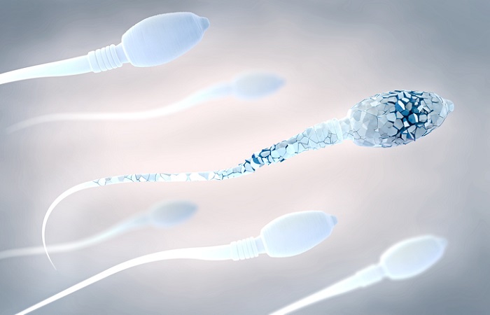 La baisse de la qualité du sperme