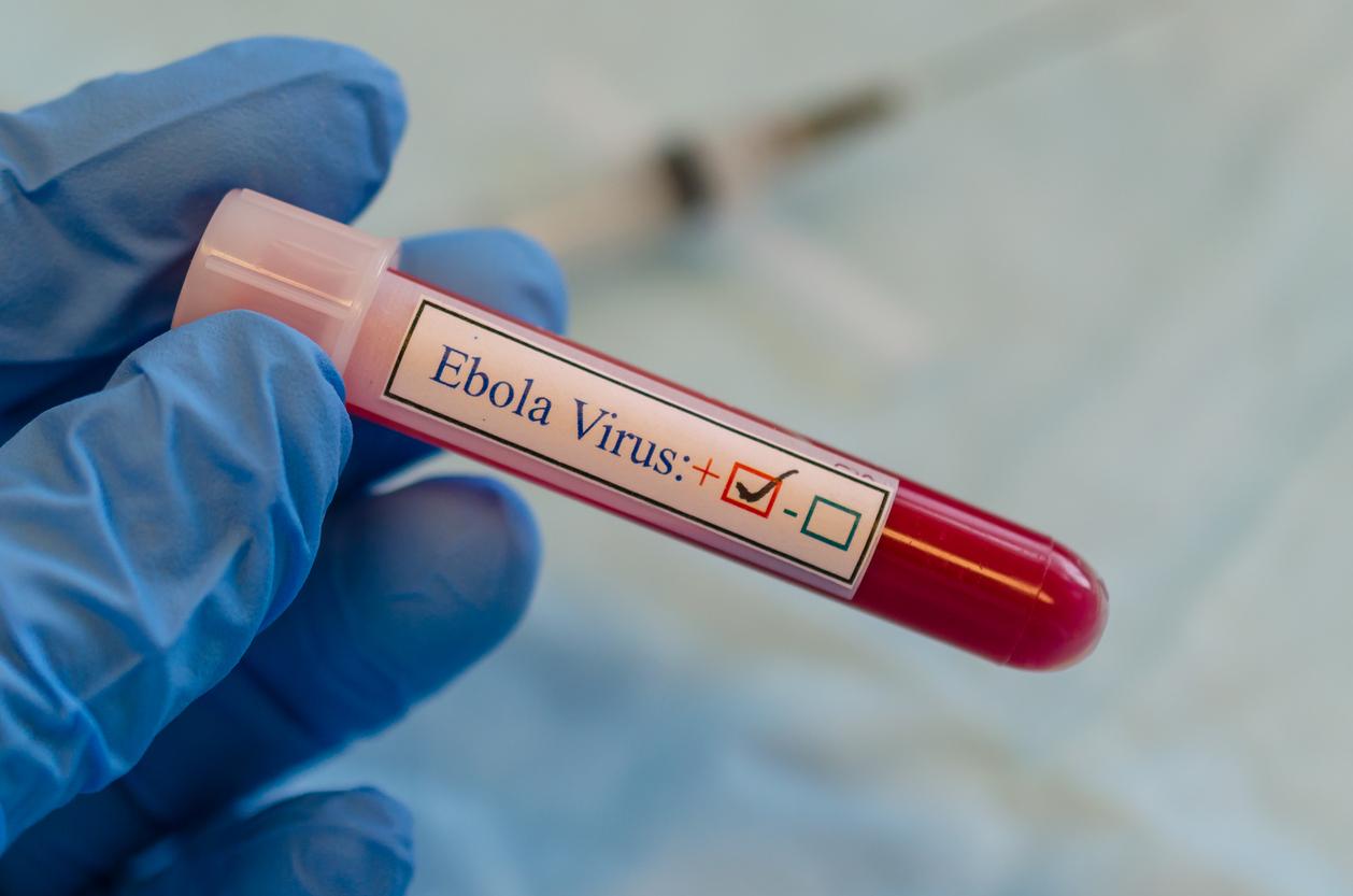 Urgence sanitaire en RDC : la souche d’Ebola présente “un taux de létalité très élevé”