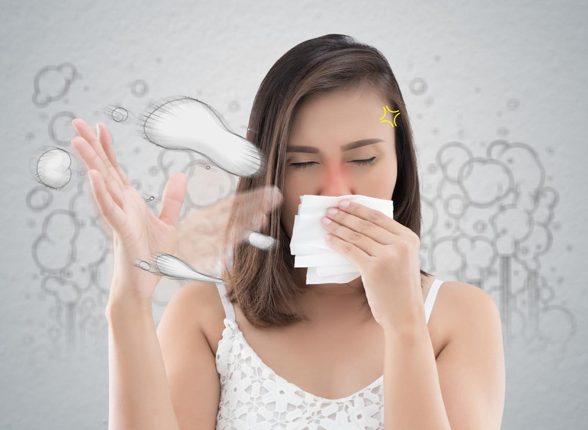 Pollens : pourquoi suis-je allergique ?