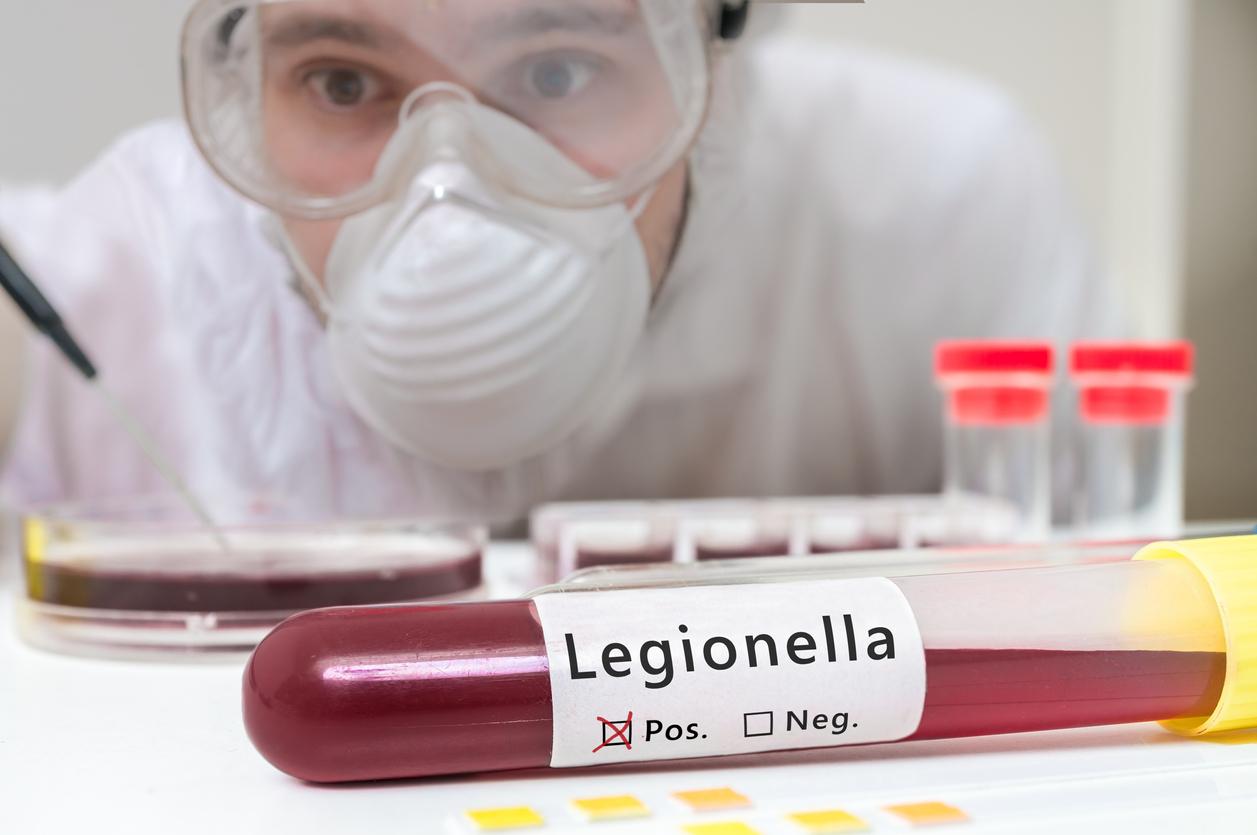 Une toxine capable de freiner l'infection à Legionella