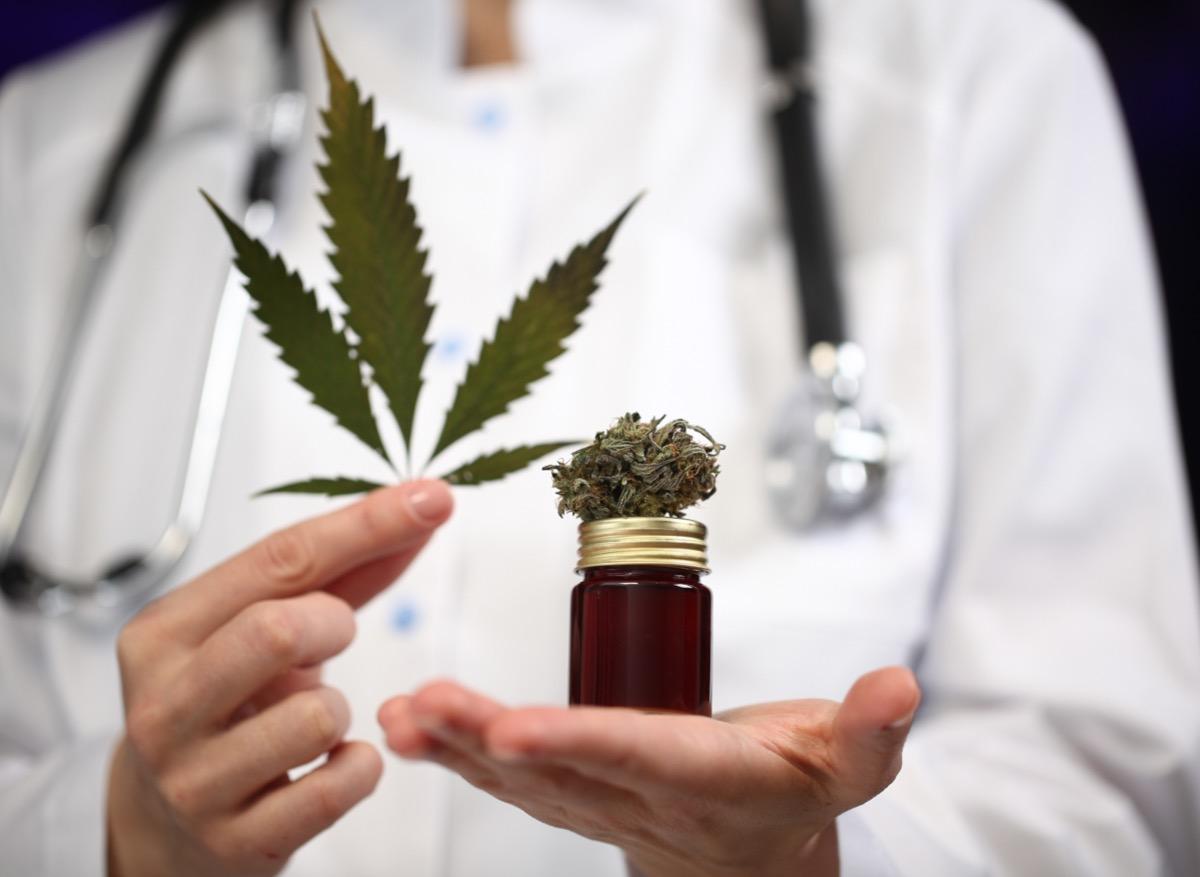 Cannabis thérapeutique : l’expérimentation devrait débuter en septembre 