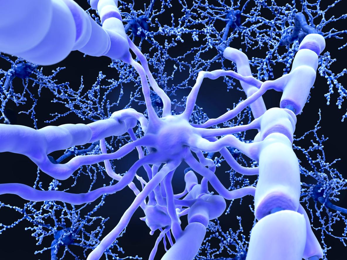 Et si l'on pouvait réparer les fibres du système nerveux central ?