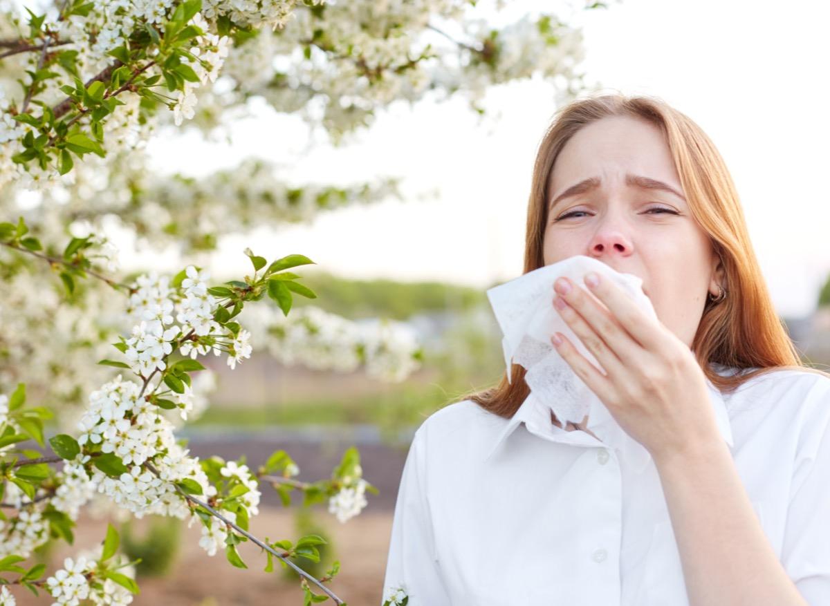 Allergie au pollen : des biomarqueurs permettent de prédire la gravité des symptômes 