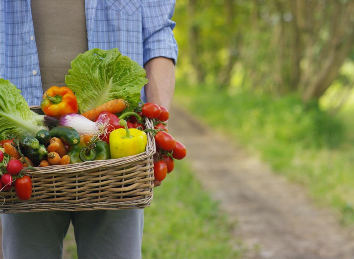 Manger plus d’aliments végétaux réduit le risque cardiovasculaire 