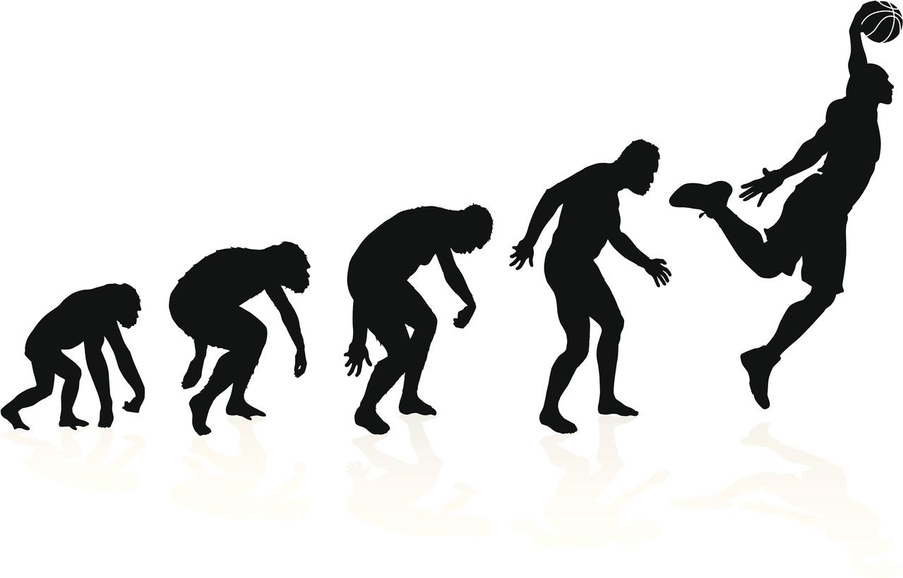 Comment le coeur humain s'est adapté à des efforts soutenus