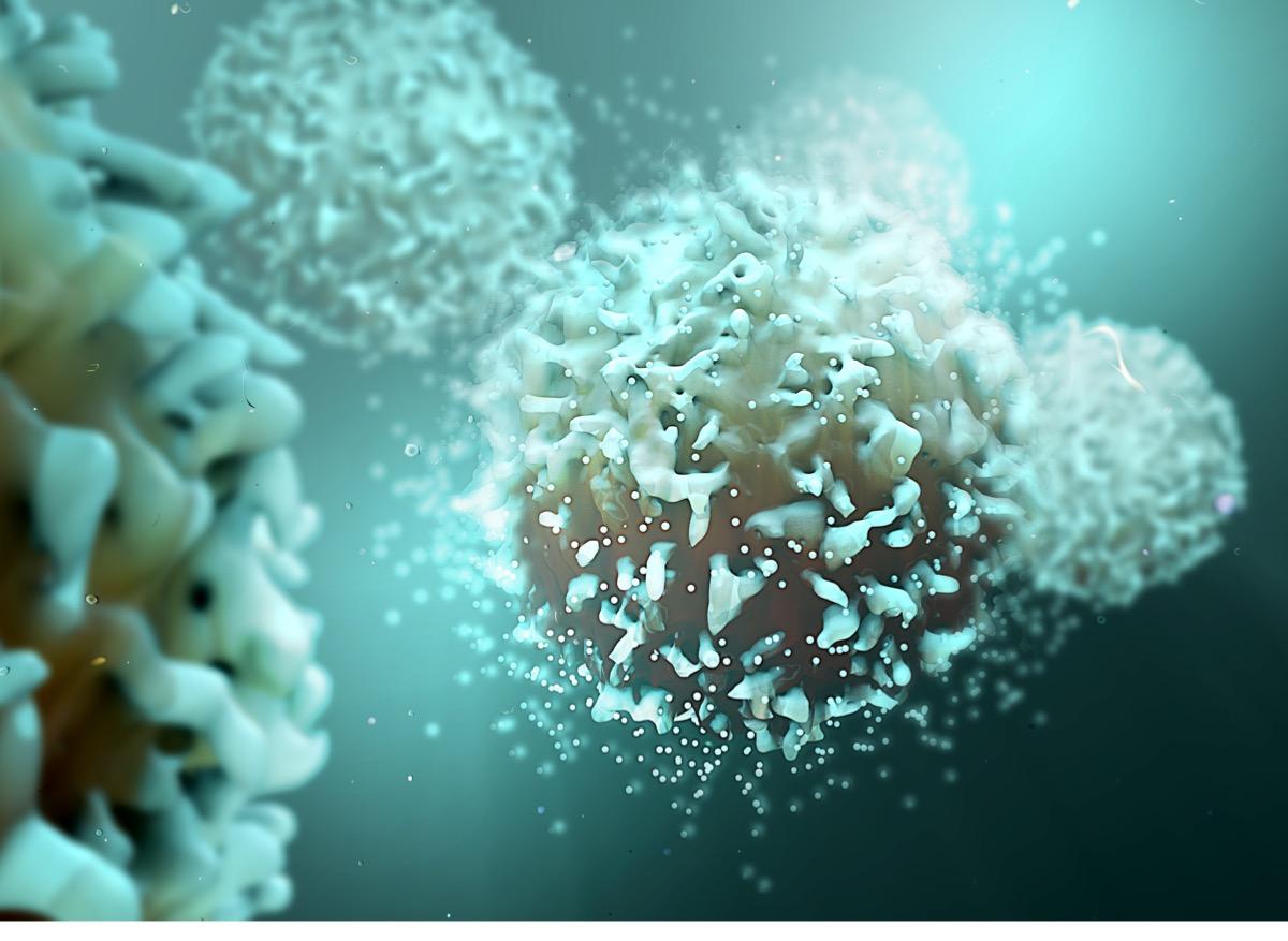 Les lymphocytes T régulateurs : une nouvelle cible contre les maladies auto immunes ?