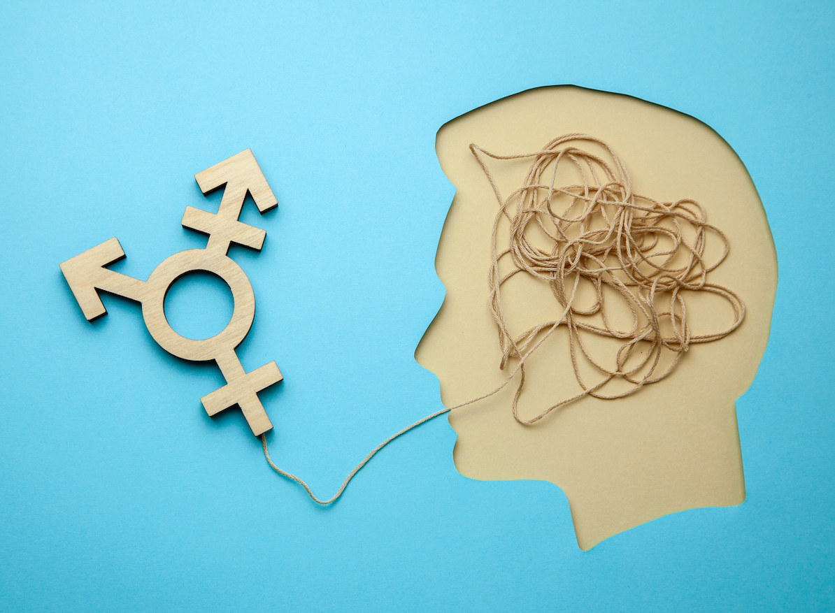 Linadéquation corps-cerveau chez les personnes transgenres aurait une base  biologique
