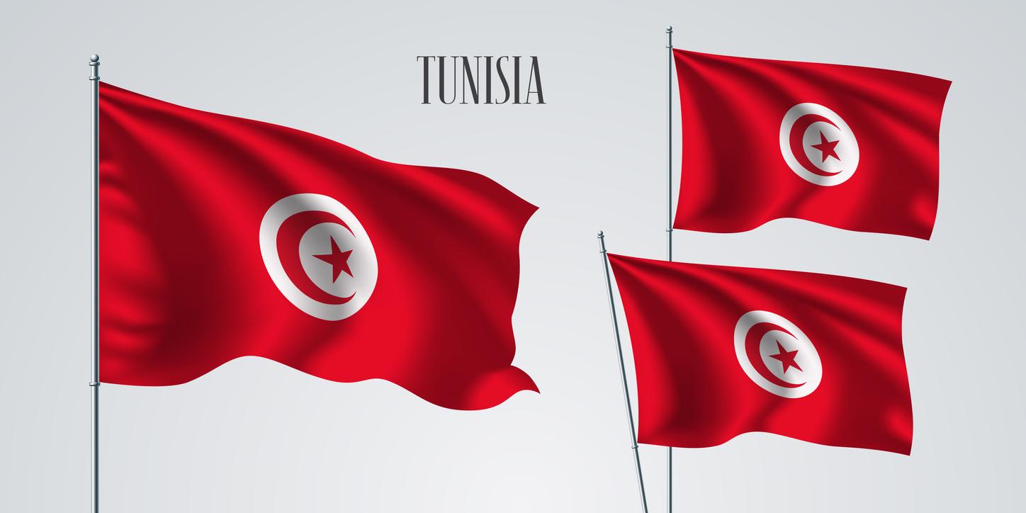 Onze bébés décédés dans une maternité de Tunis : le ministre de la Santé demissionne