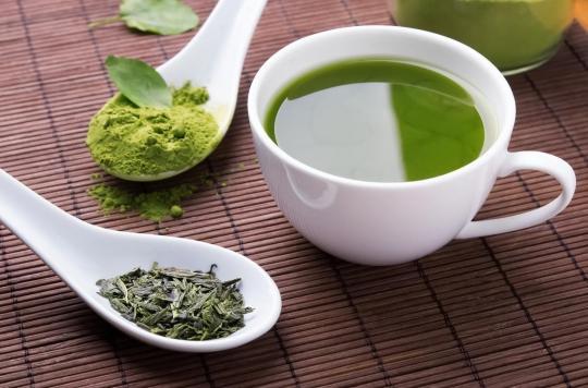 Antibiorésistance : la clé dans le thé vert ? 