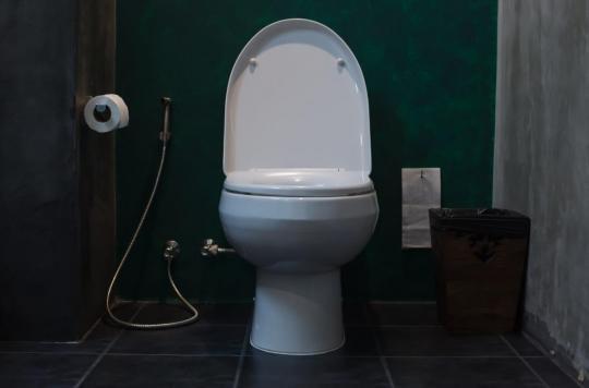 Des toilettes intelligentes pour surveiller nos urines et d'éventuels soucis de santé 