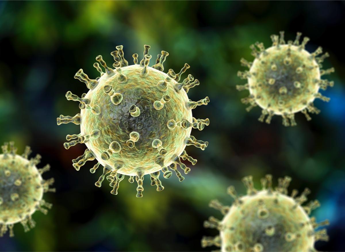 Alzheimer : les virus de l'herpès et de la varicelle en cause ?