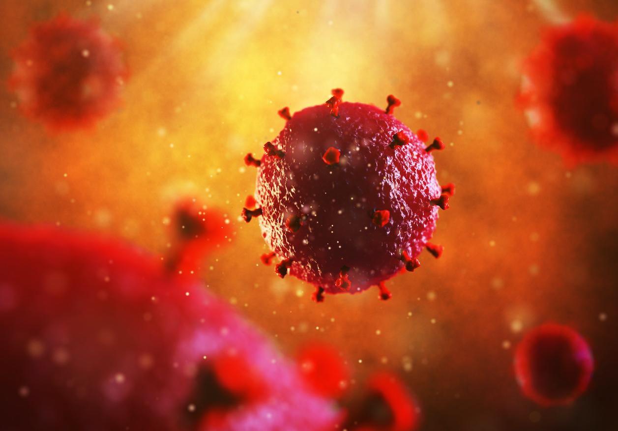 Vaccin contre le VIH: la piste d'anticorps génétiquement modifiés