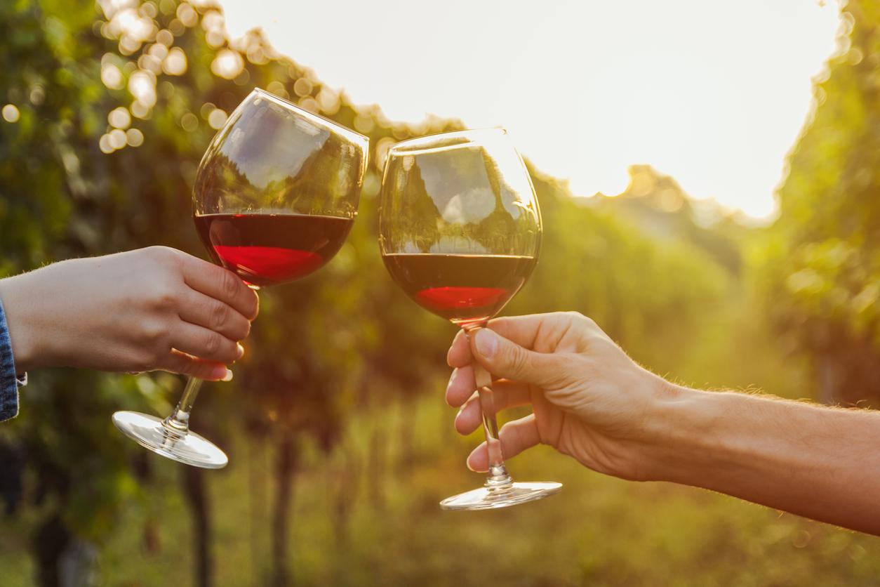 Le vin rouge aurait des effets positifs sur le microbiote intestinal
