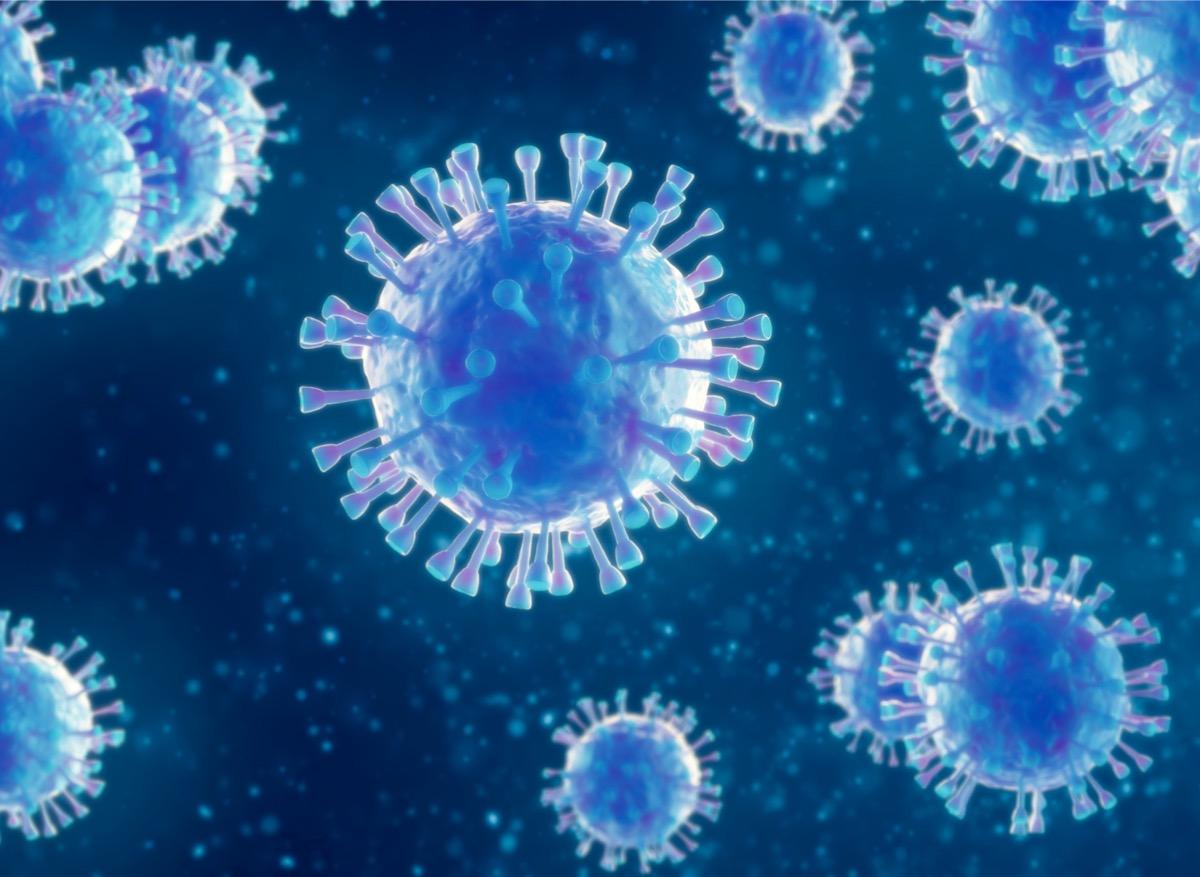 Des chercheurs découvrent un virus d’un nouveau type