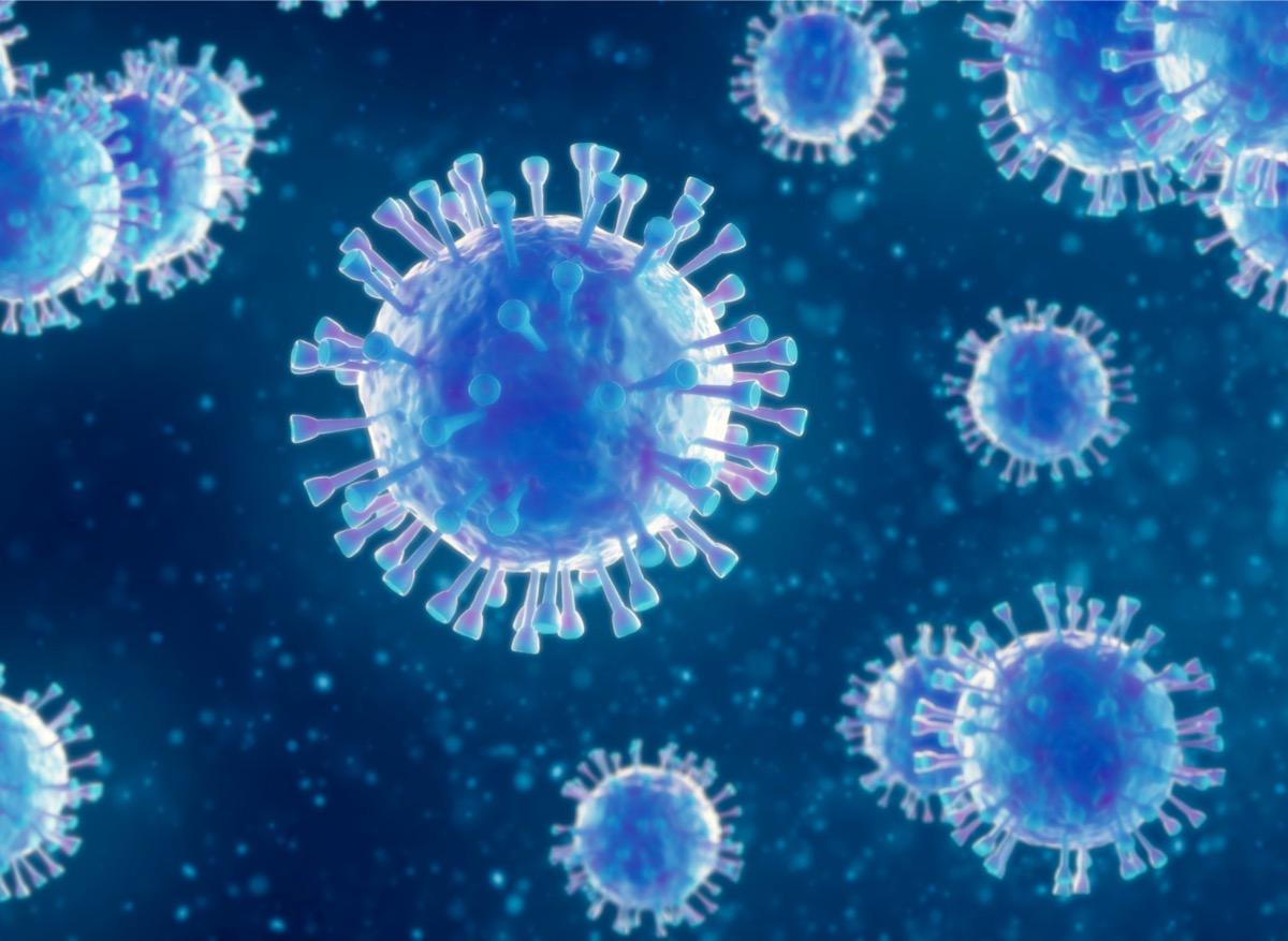 Grippe : l'action du système immunitaire peut aggraver la maladie 