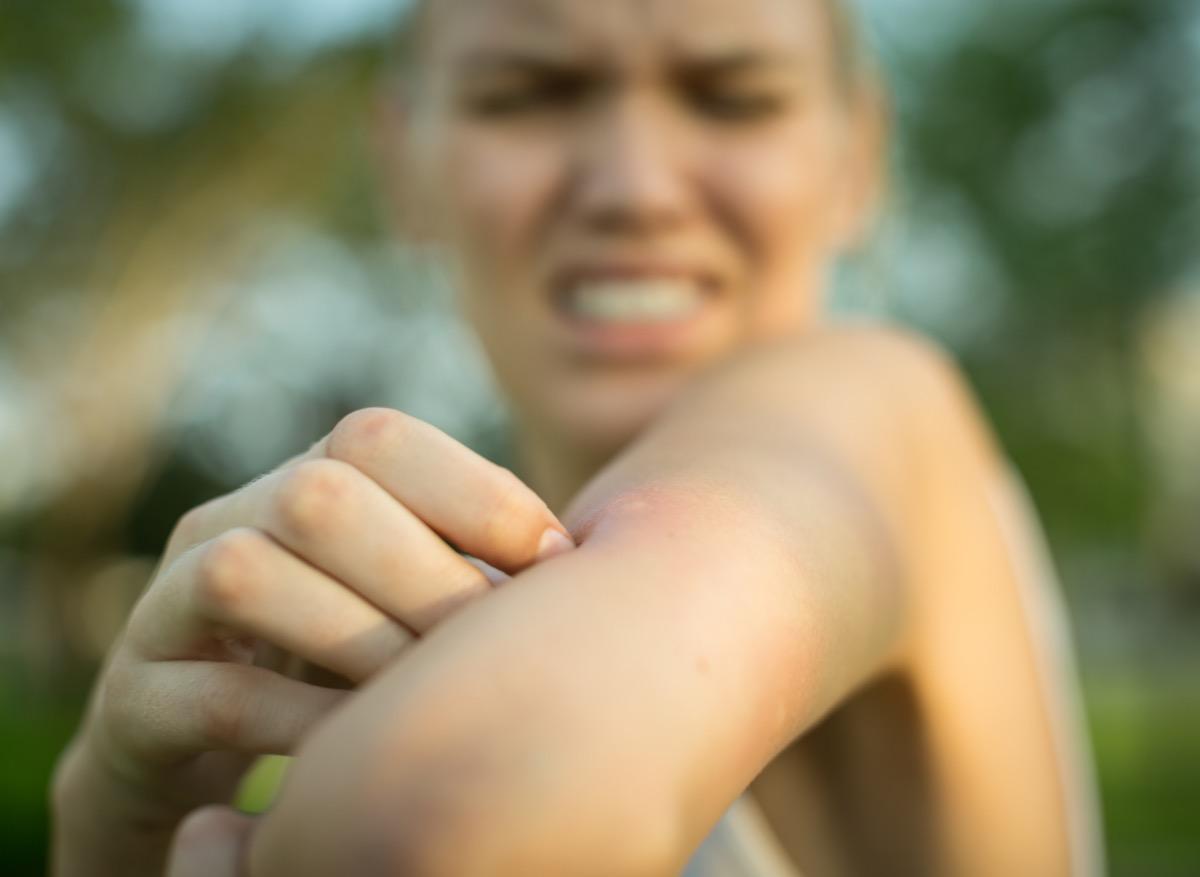 Connaissez-vous l’astuce de la feuille pour éloigner les moustiques ?