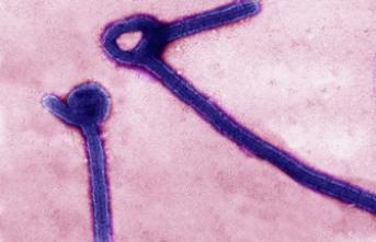 Ebola : déclin radical de l’épidémie