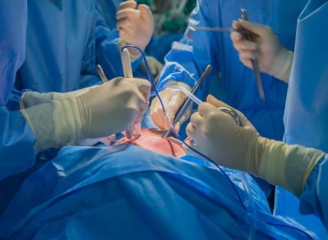 Décès après la greffe d'un coeur de porc : l'organe transplanté probablement infecté par un virus 