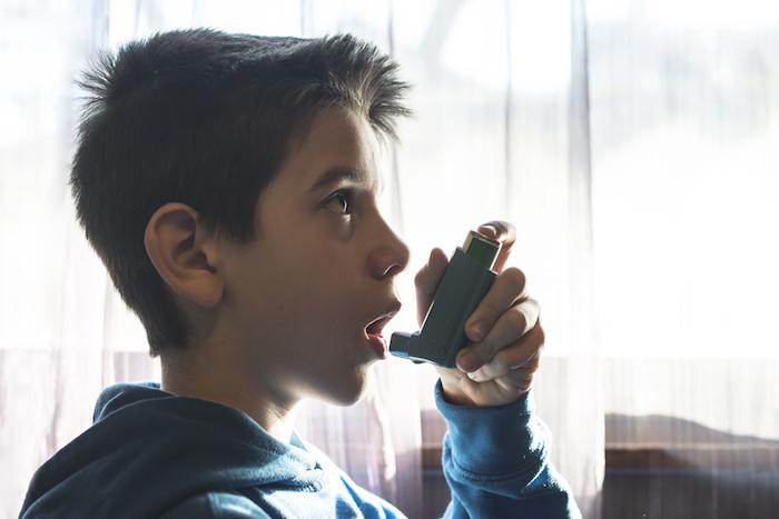 Asthme : de nouvelles pistes pour expliquer l'immunité de certains enfants