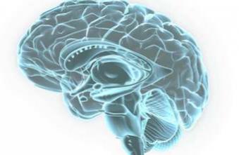 Alzheimer : une piste pour réparer les pertes de mémoire 