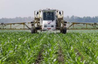Intolérance au gluten : l'herbicide Roundup mis en cause