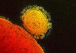 Le  premier cas de coronavirus en Grèce