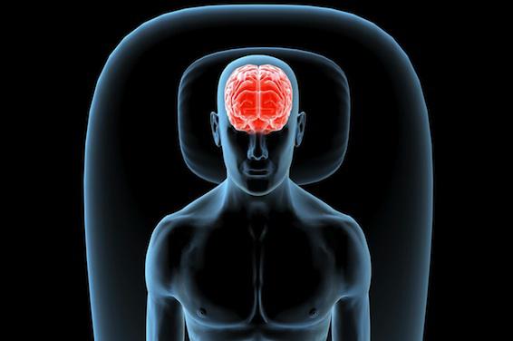 Cerveau : des chercheurs expliquent comment les souvenirs se forment