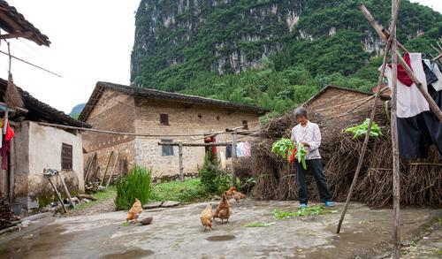 Grippe aviaire : la mutation de la souche H7N9 inquiète la Chine 