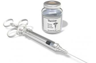 Coqueluche : des ruptures de stock de vaccins à prévoir 