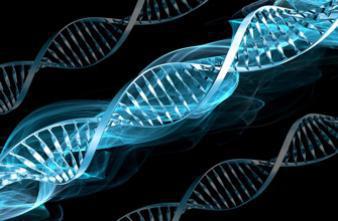 La doyenne du monde était porteuse de 400 mutations génétiques