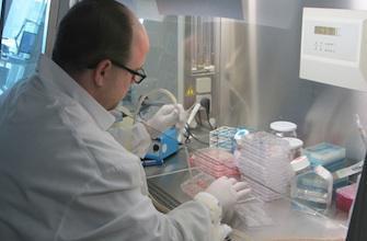 Grippe H7N9 : l\'Institut Pasteur prêt à faire face