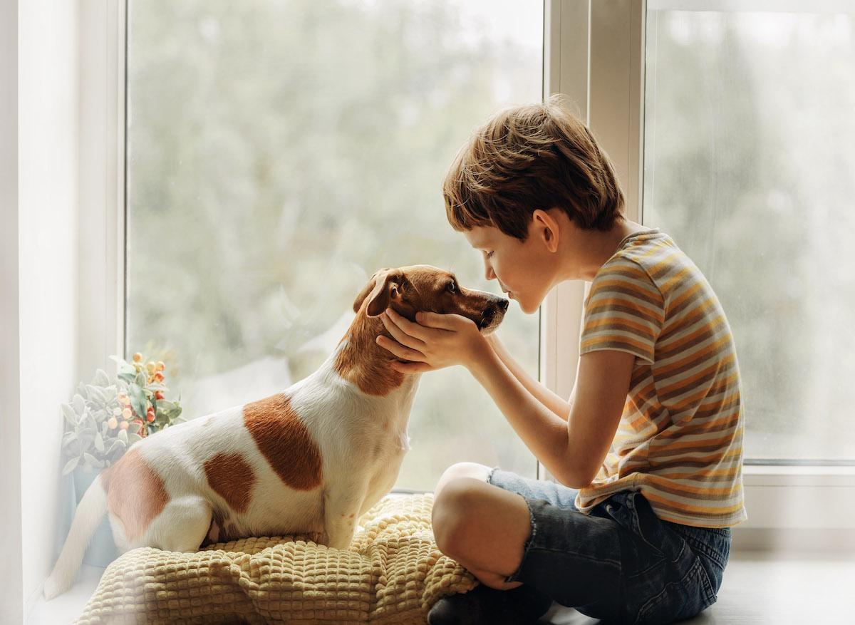 Comportement Les Chiens Seraient Bons Pour Le Developpement Des Enfants Comportement Les Chiens Seraient Bons Pour Le Developpement Des Enfants