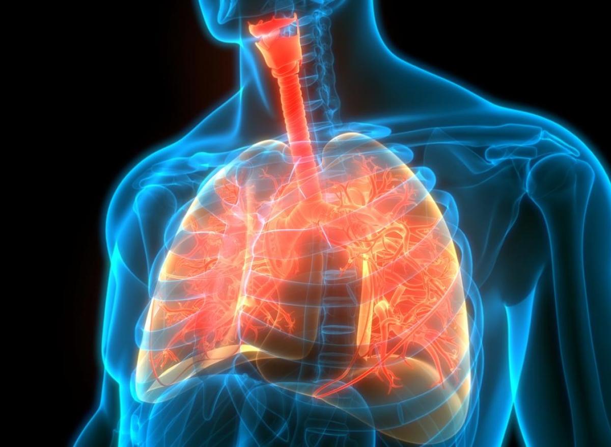 effet de la vape sur les poumons Vapoter peut sembler inoffensif, mais diverses études ont indiqué que la  vapeur des cigarettes électroniques contient des substances chimiques  capables de provoquer des lésions pulmonaires graves et irréversibles,  comme la bronchiolite oblitérante main image 1