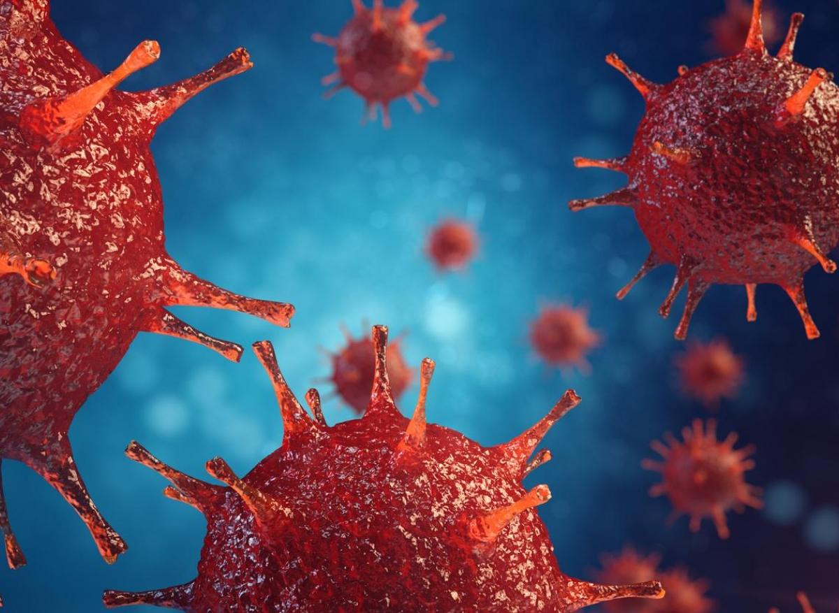 Pour la première fois, des chercheurs ont découvert où se cache le virus du  sida