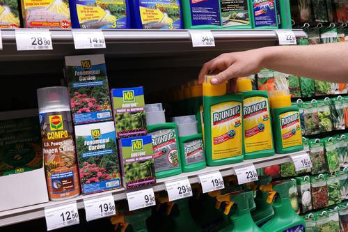 Cancer : l'OMS disculpe le glyphosate 
