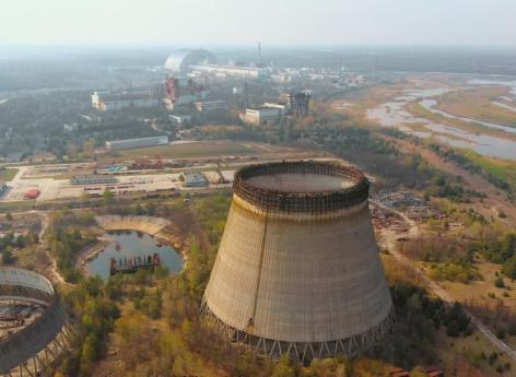 Tchernobyl : des loups mutants auraient développé une résistance au cancer