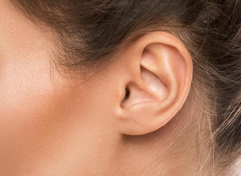 Une oreille créé à partir de cellules humaines 